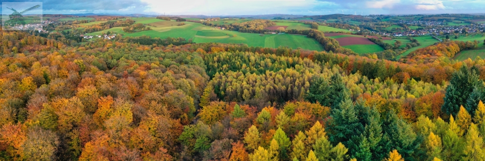 7Nov19-Urexweiler-Pan446air